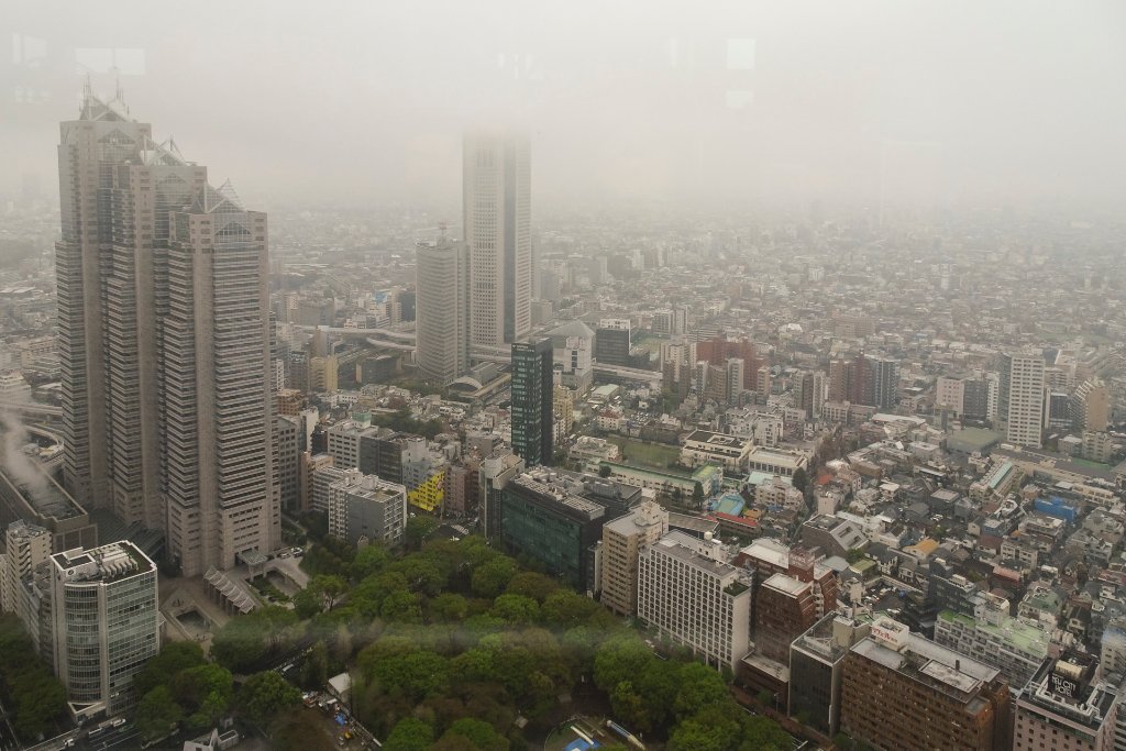 08-Tokyo from the top of the Tokyo Metropolitan Government Building.jpg
